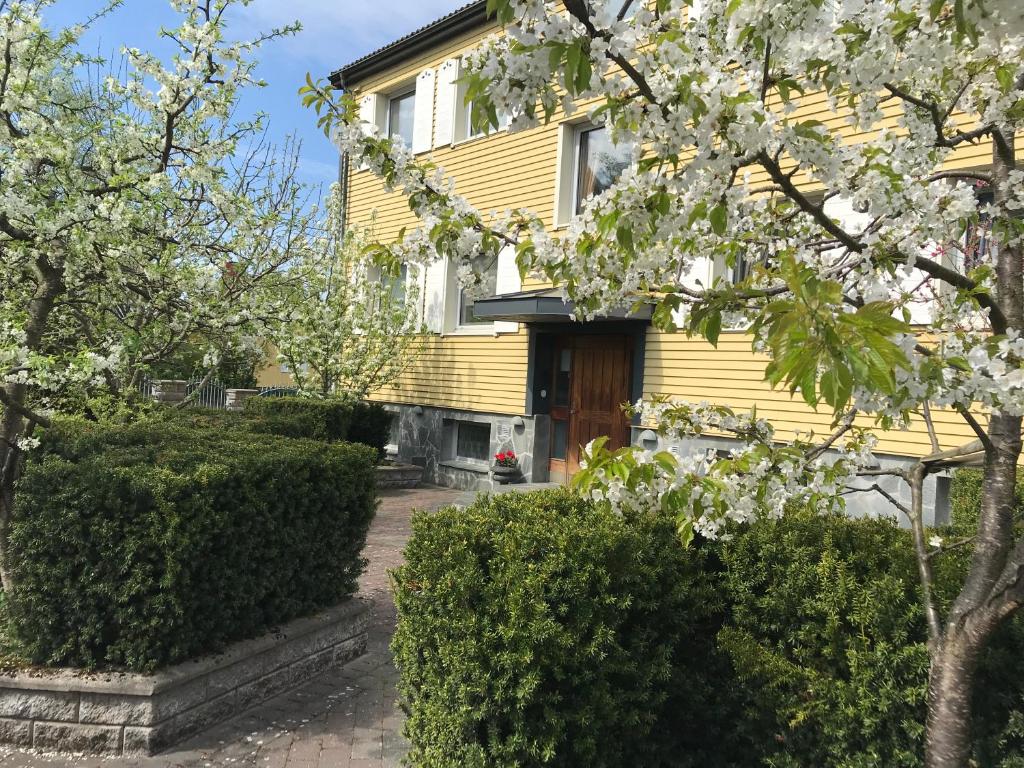Zahrada ubytování BoSmart Apartments