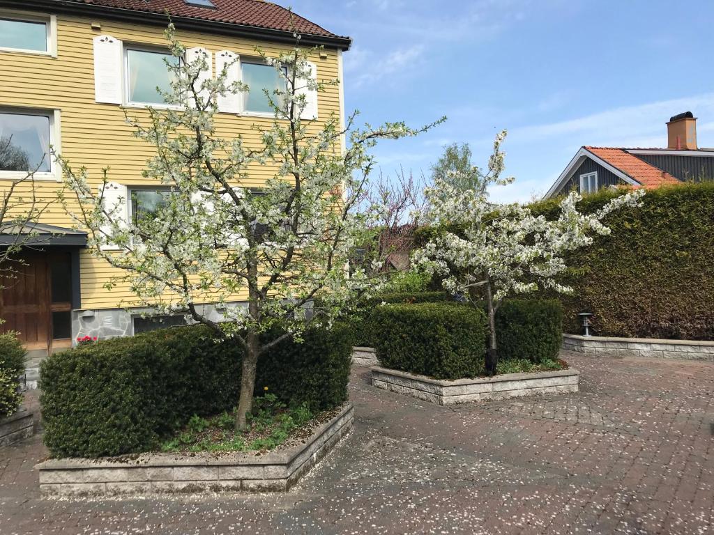 Zahrada ubytování BoSmart Apartments