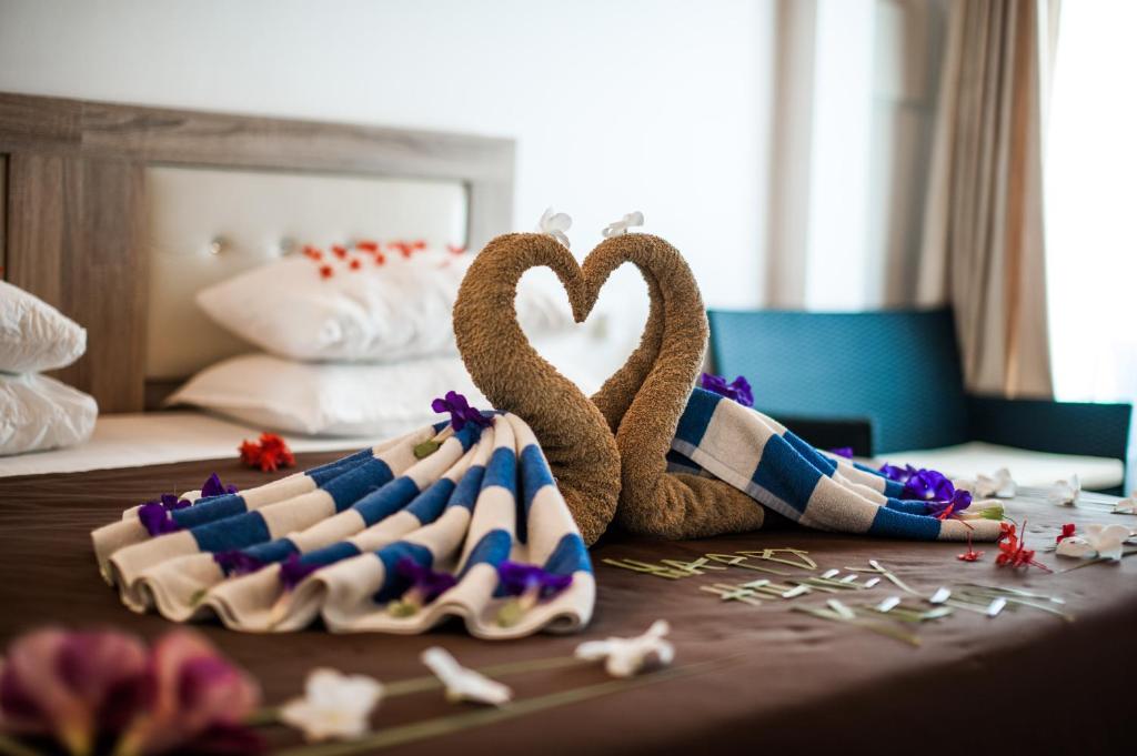 Holiday Cottage Thoddoo, Maldives - 10