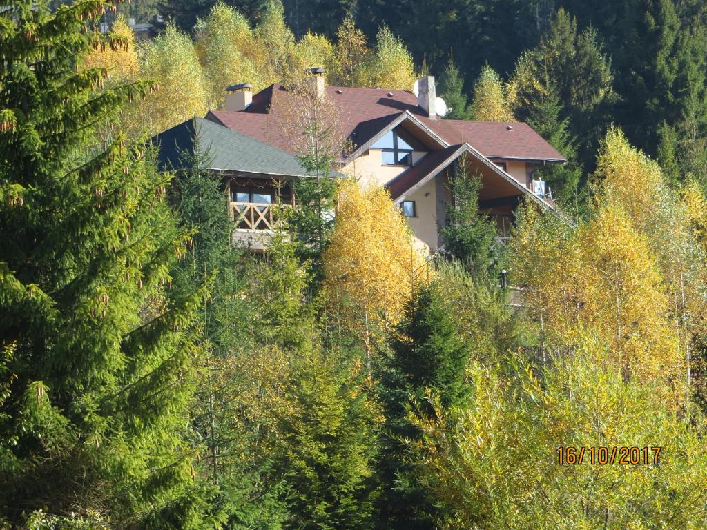 een huis aan de zijkant van een heuvel met bomen bij Yalivets in Oryavchyk