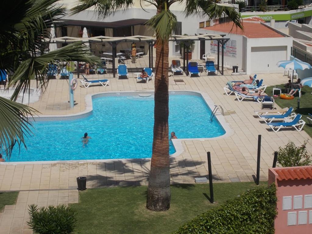 una piscina con una palma al centro di Bellavista Apartments ad Albufeira
