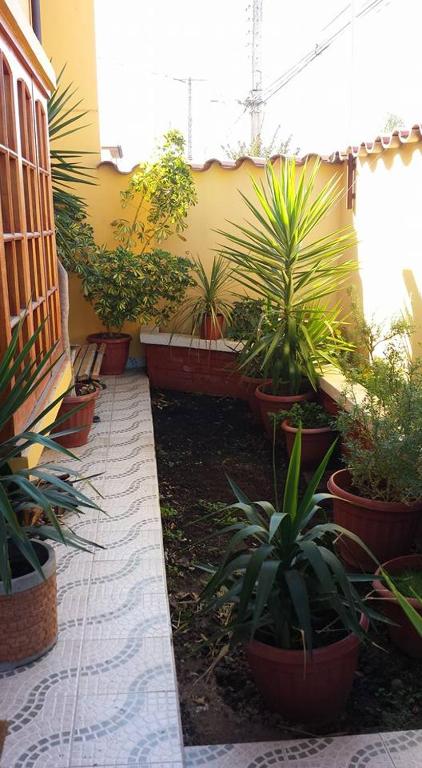 Κήπος έξω από το Hostal Casa Amarilla San Vicente de Tagua Tagua