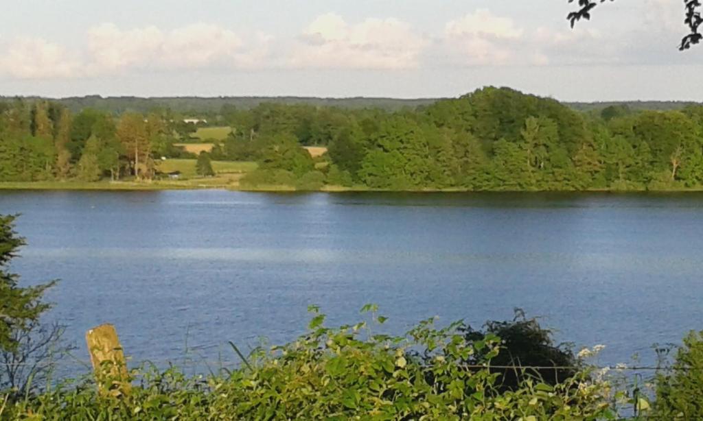 uitzicht op een meer met bomen op de achtergrond bij FeWo am Pohlsee in Langwedel