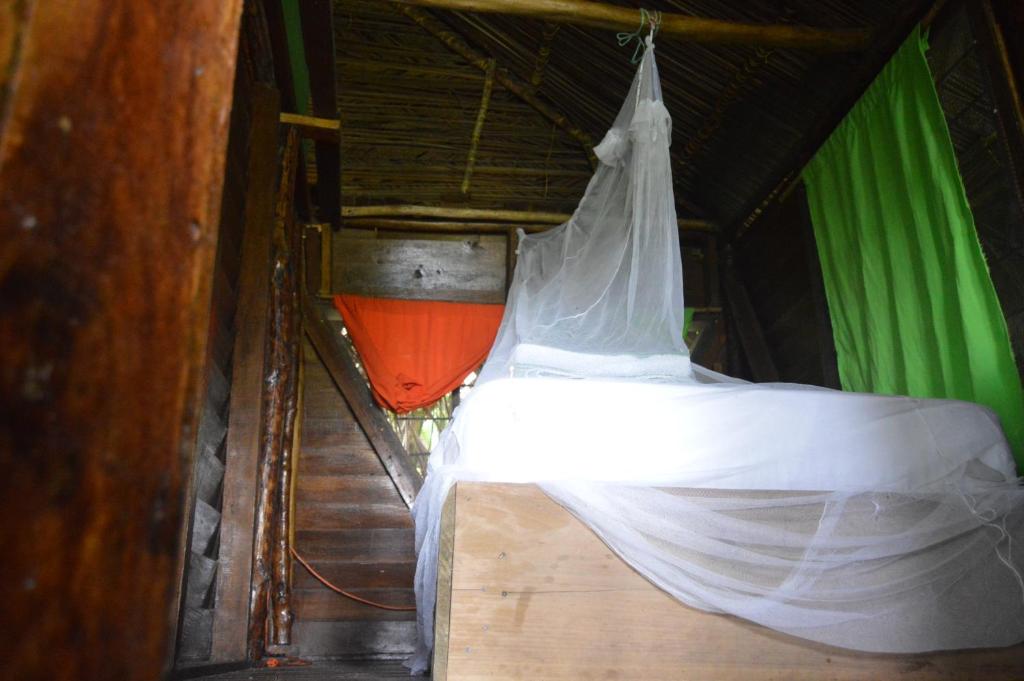 Beverly's Hill Guest House - Single Room