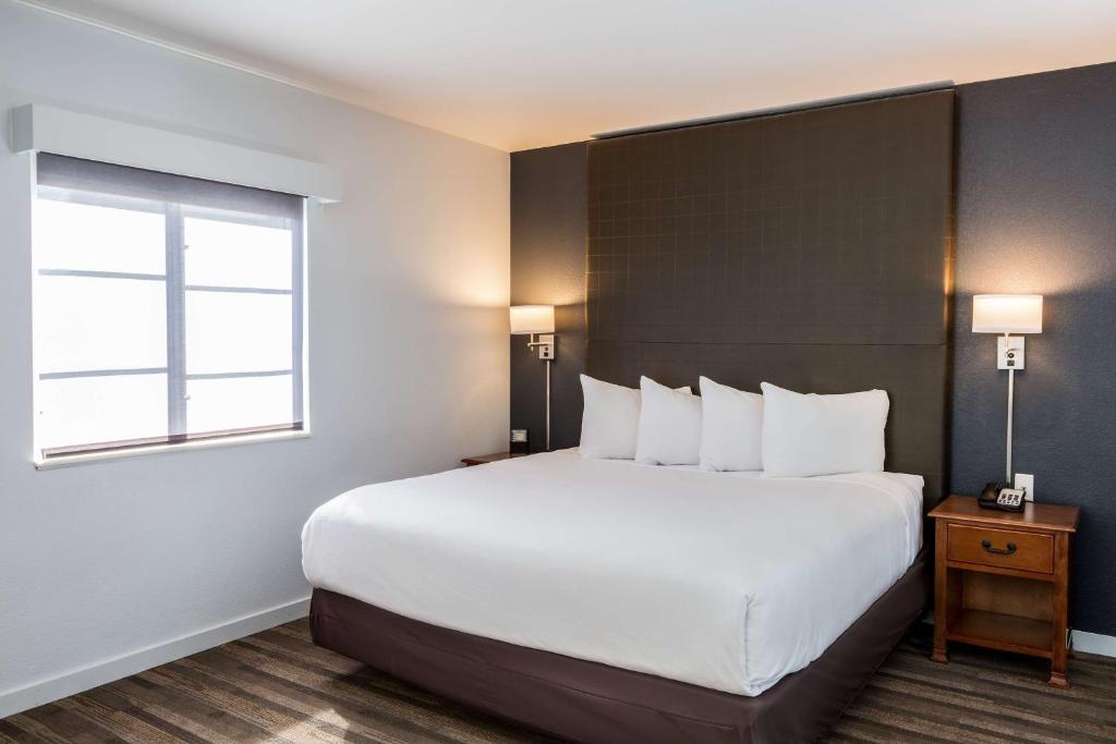 Hyatt House San Ramon - 带卫生间淋浴的国王工作室 - 残疾人