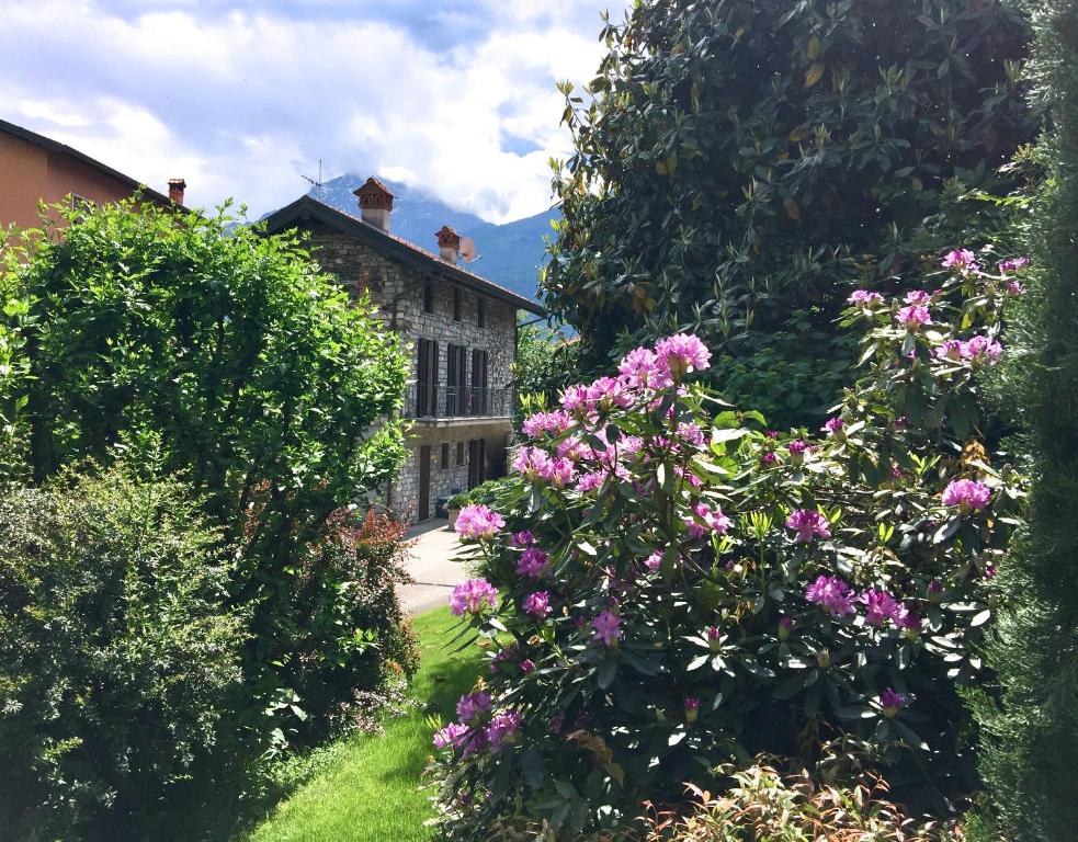 Zahrada ubytování IRIS 2 lago di Como