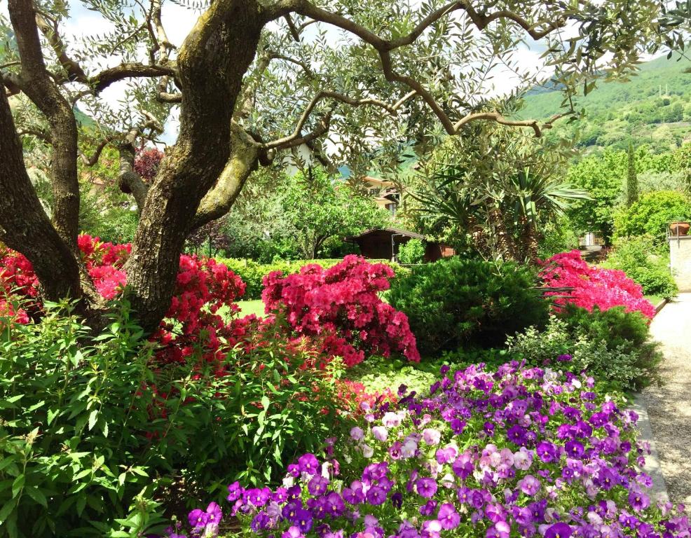 Zahrada ubytování IRIS 2 lago di Como