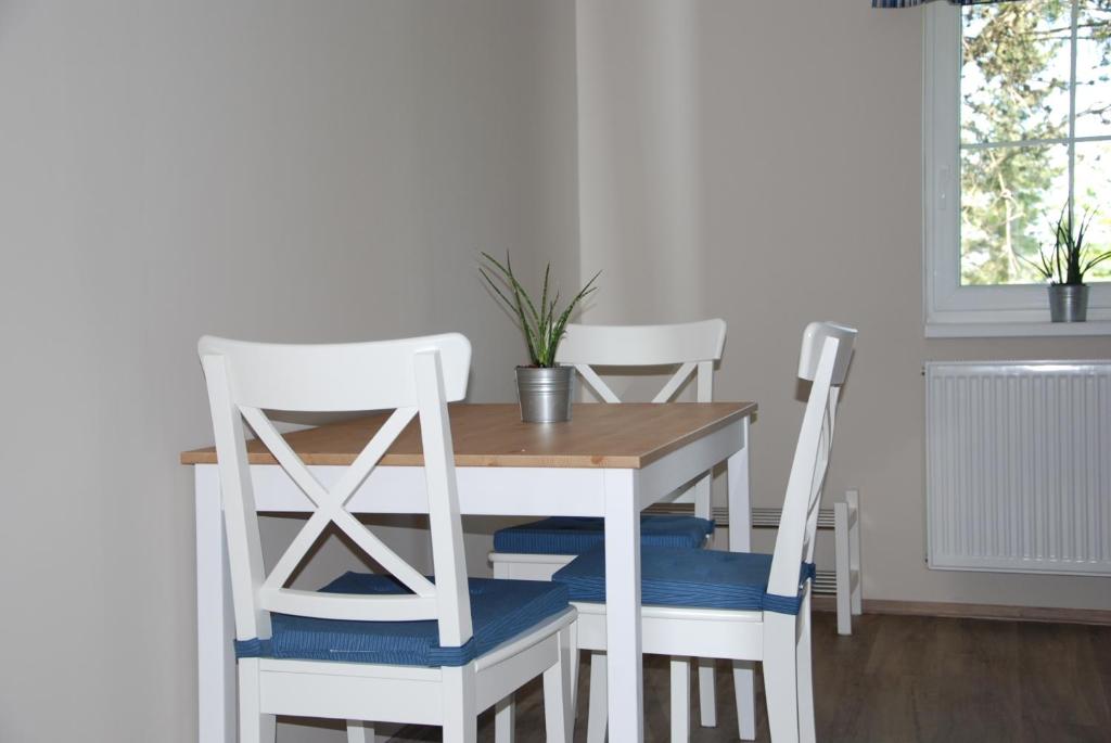 Fotografie z fotogalerie ubytování Apartment Ptačí Dům v destinaci Sněžník