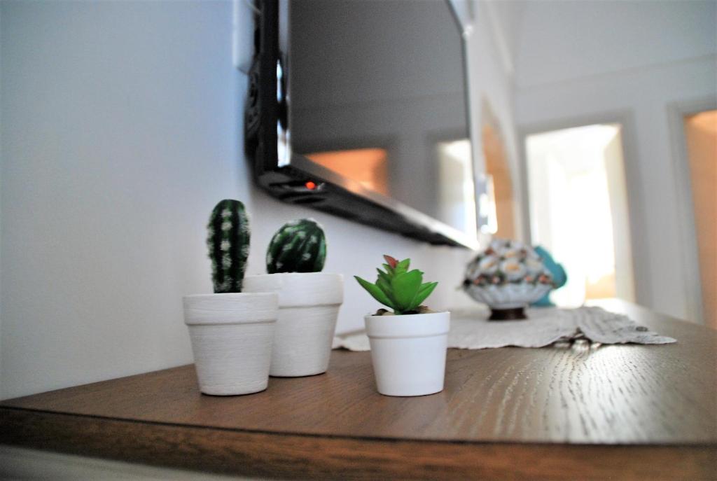 a group of five white pots with plants on a table at Iannet & Co. in Locorotondo