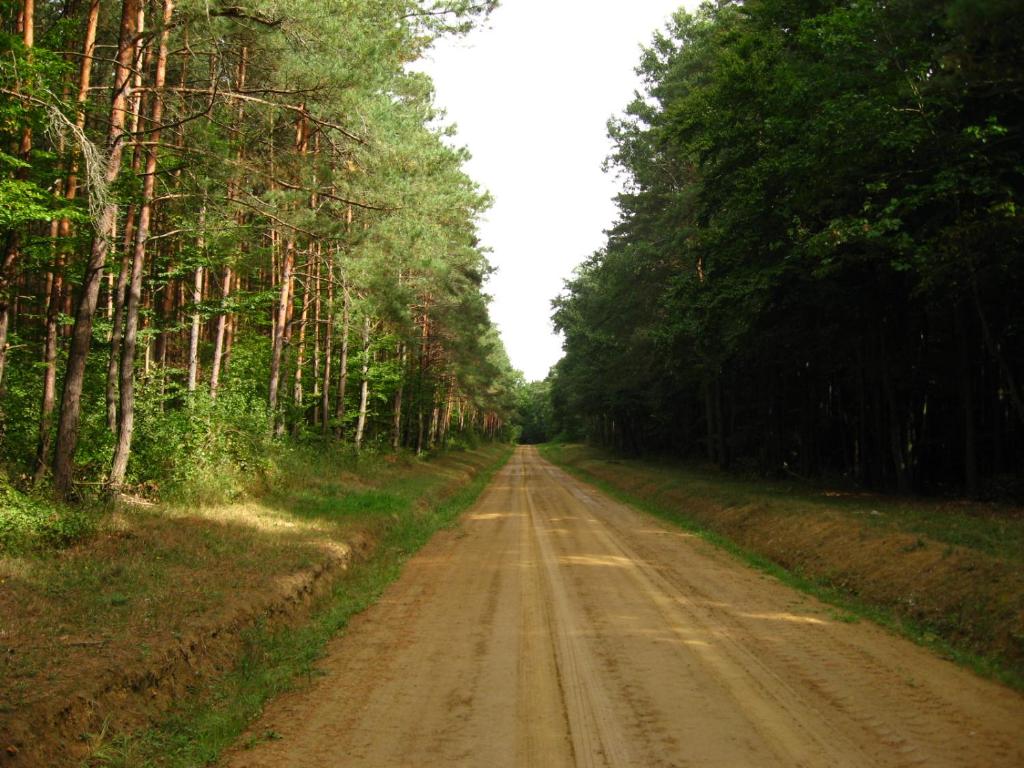Příroda nedaleko penzionu