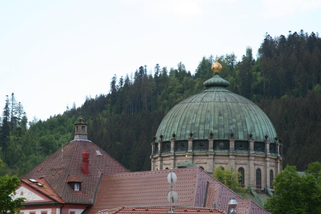 un edificio con techo verde y un edificio con cúpula en Ferienwohnung an der Alb en St. Blasien