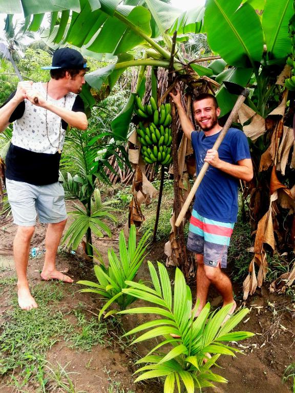 Blue Mountains View - 12