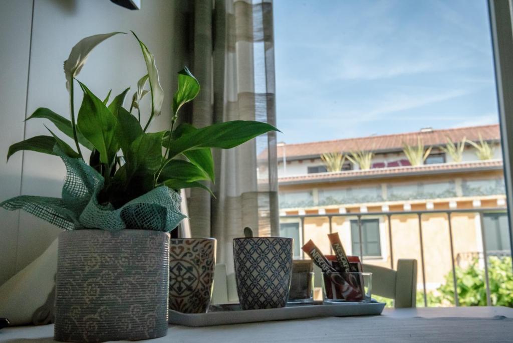 San Lorenzo Apartments - 1