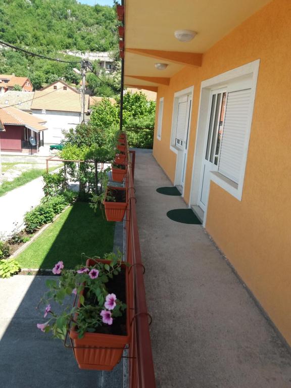 Apartments Mirković - 12