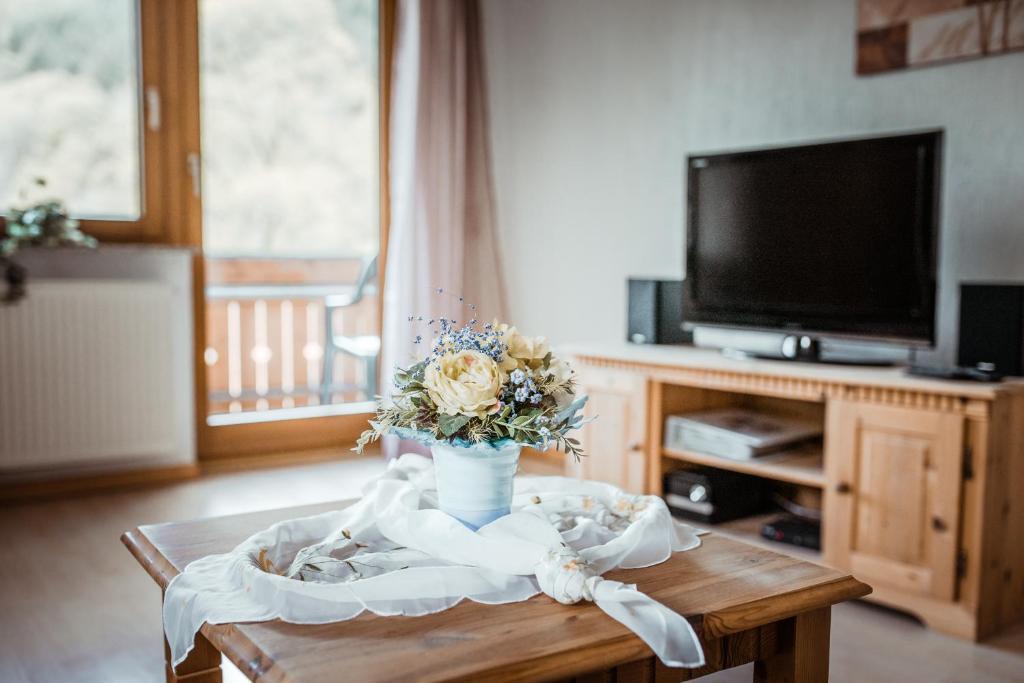 TV a/nebo společenská místnost v ubytování Ferienparadies Hugenhof