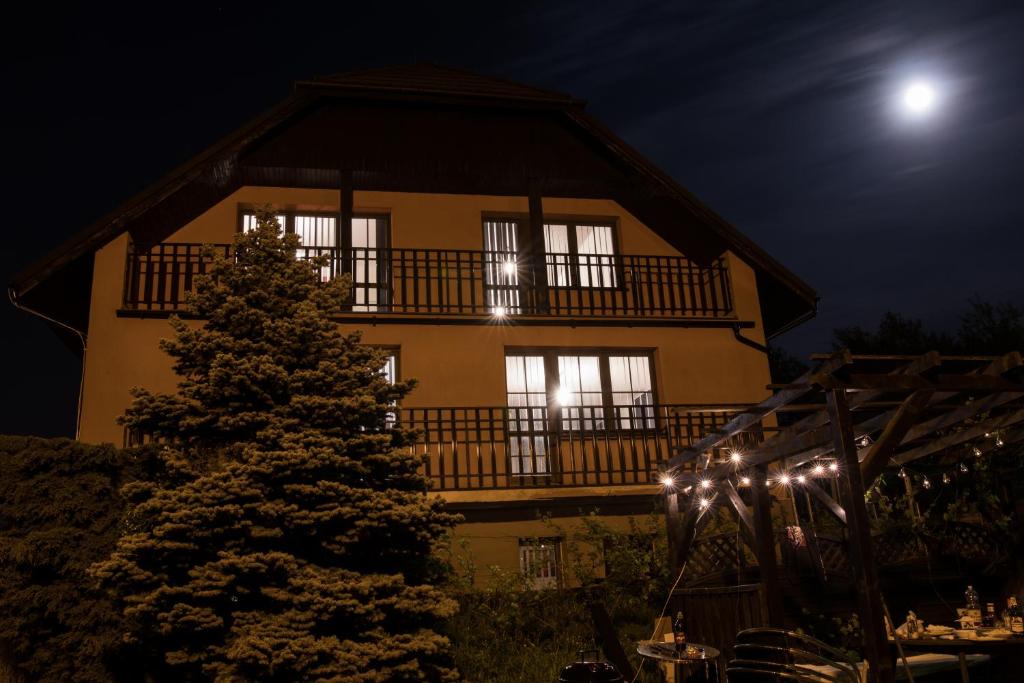 a large house with a christmas tree in front of it at Apartmány City in Ostrava