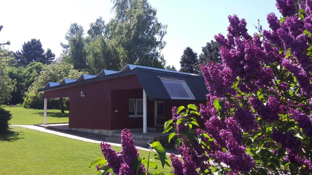 una pequeña casa con flores púrpuras delante de ella en Gemütliches Gästehaus, en Bahretal