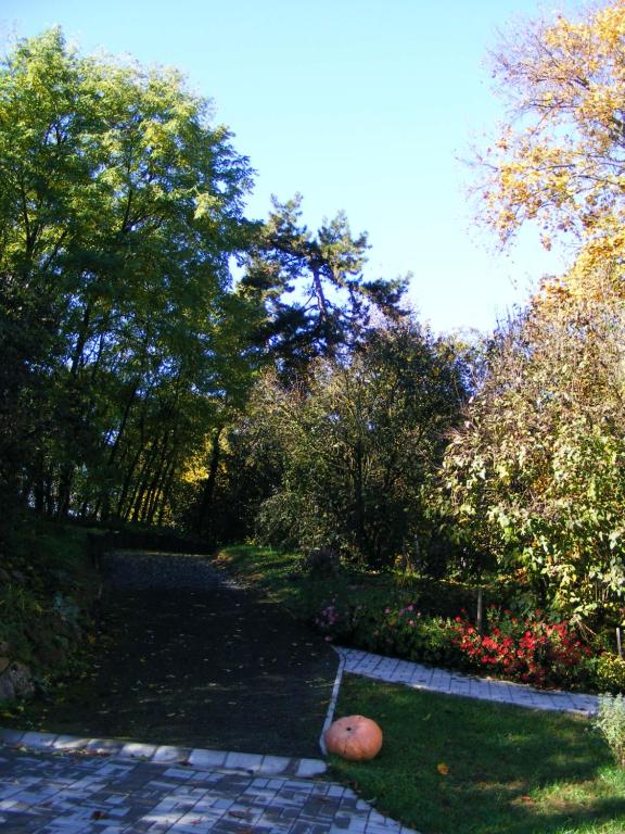 Vonkajšia záhrada v ubytovaní Kétbodonyi Apartments
