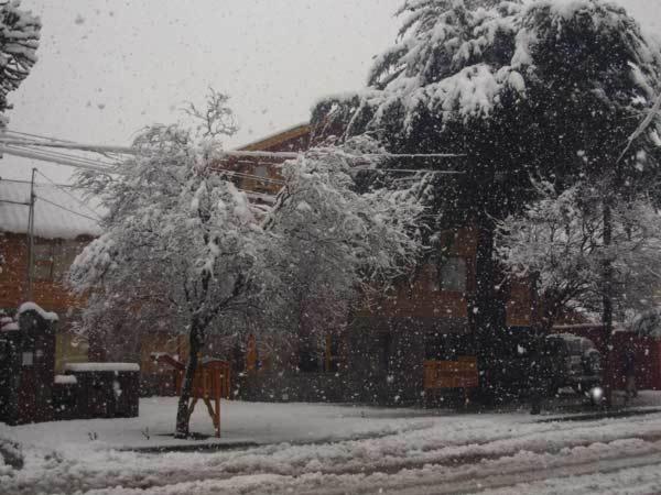 Apart Hotel Tierra Nativa