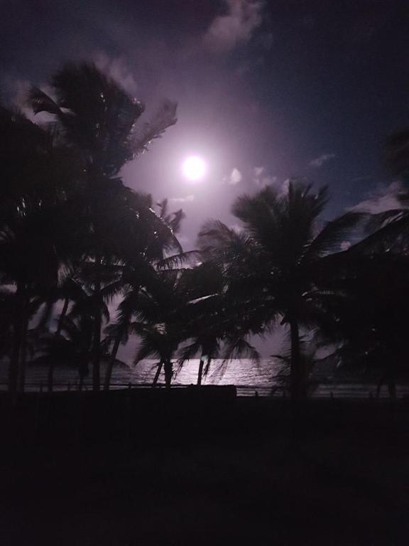  Vila das Flores ( vilage)