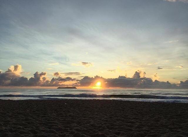  Flat Estrela do Mar Oficial