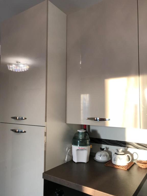 Kuchyň nebo kuchyňský kout v ubytování Villa Diana