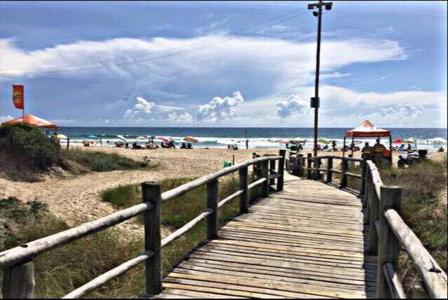  Flat Estrela do Mar Oficial
