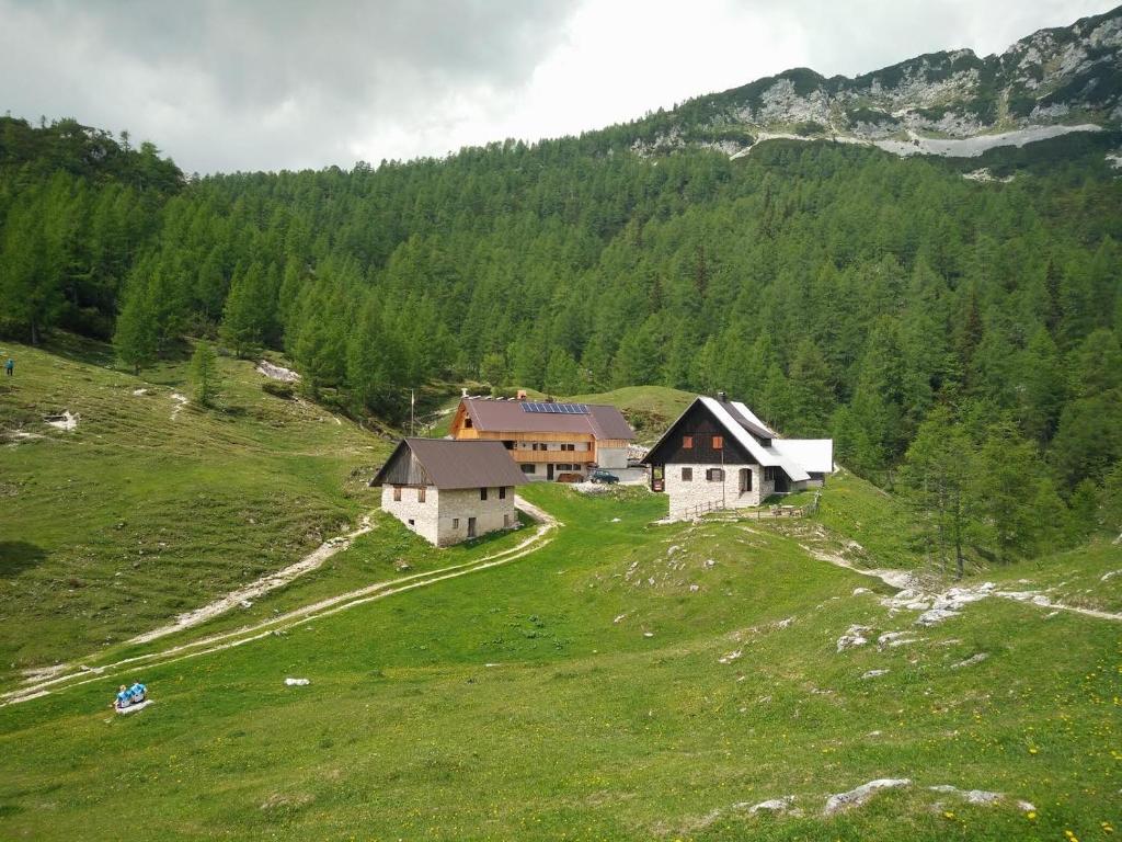 Příroda nedaleko farmy
