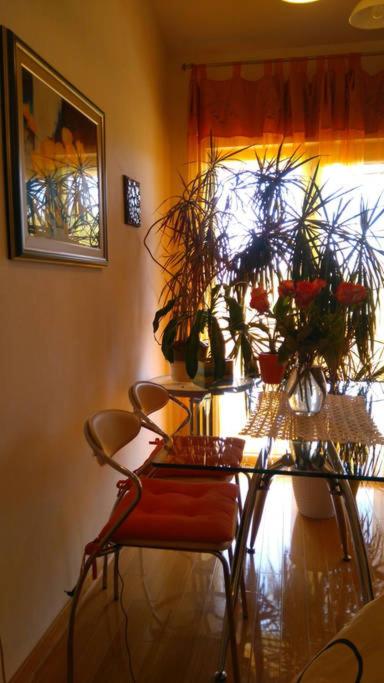 Fotografie z fotogalerie ubytování APARTMENT IVA 2 v destinaci Ližnjan