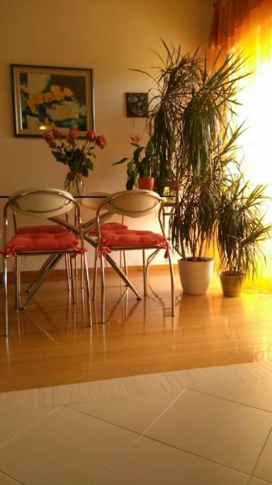 Posezení v ubytování APARTMENT IVA 2