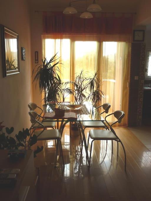 Fotografie z fotogalerie ubytování APARTMENT IVA 2 v destinaci Ližnjan