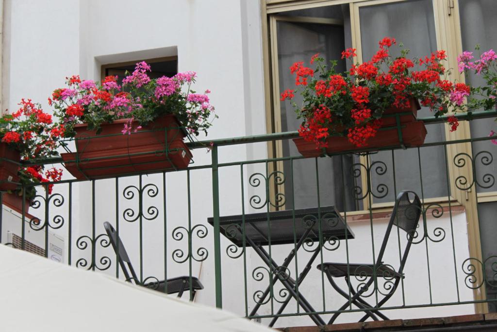 Hotel Dalmazia - Resim 39