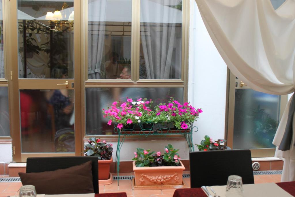 Hotel Dalmazia - Resim 40