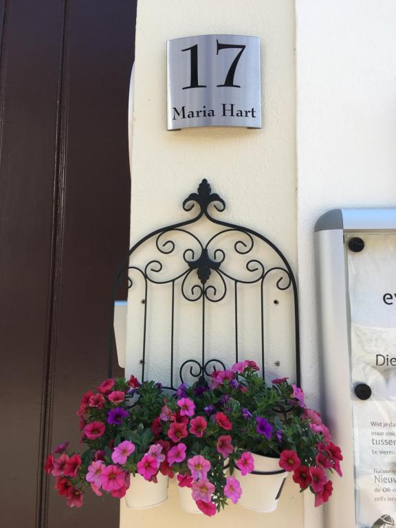 una maceta con flores rosas y moradas en una pared en B&B Maria Hart, en Weert