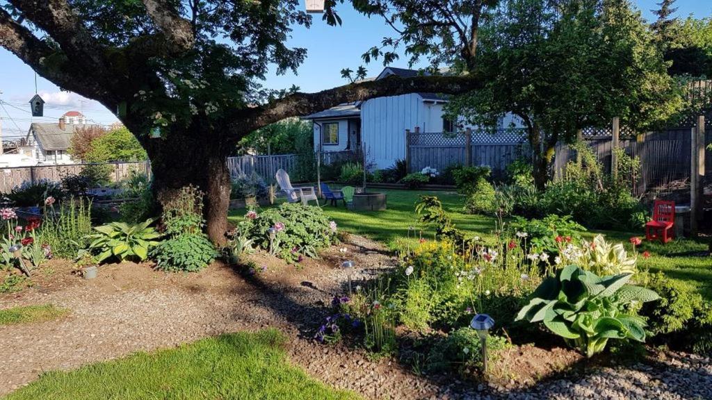 a garden filled with lots of plants and trees at Campbell Cottage in Nanaimo