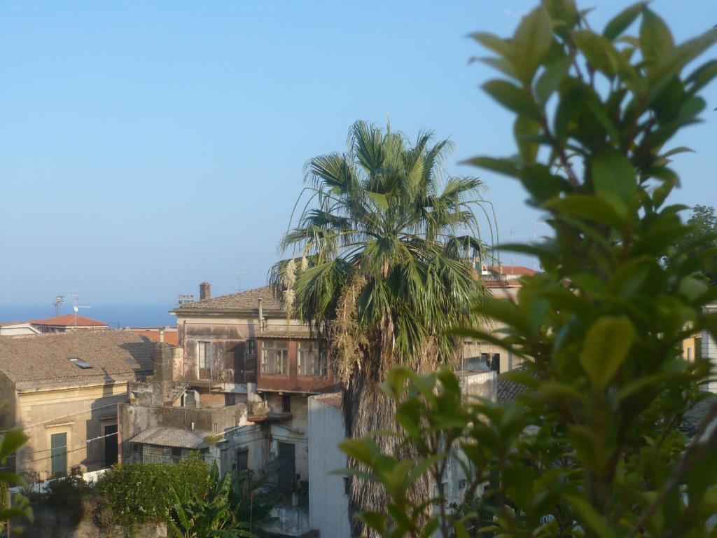 a palm tree and buildings in a city at BBCasablu in Acireale