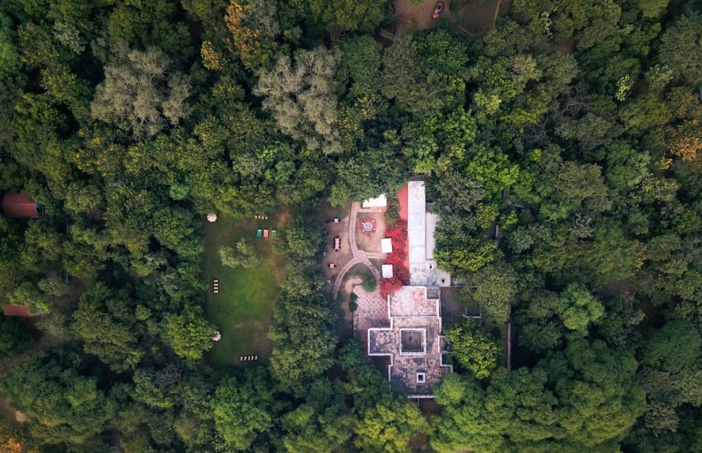 an overhead view of a house in the forest at Mela Kothi - The Chambal Safari Lodge in Bāh