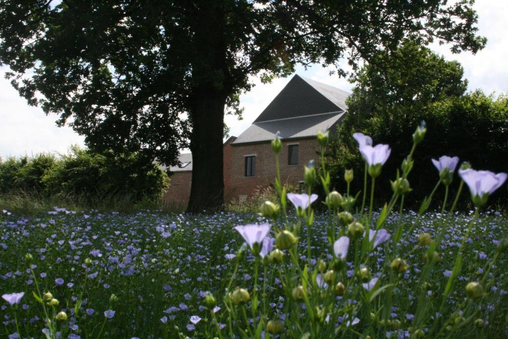 um campo de flores roxas em frente a uma casa em Gîtes du Grand Bois em Maubeuge