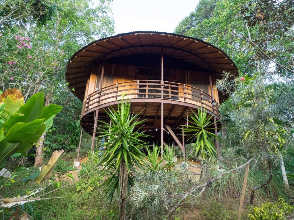 a tree house in the middle of a forest at Paradiselodge Jungleguesthouse in Platanillo