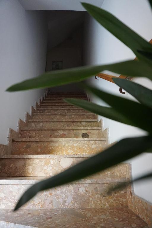 Gallery image of Bed and Breakfast Ivanka Mali Lošinj in Mali Lošinj