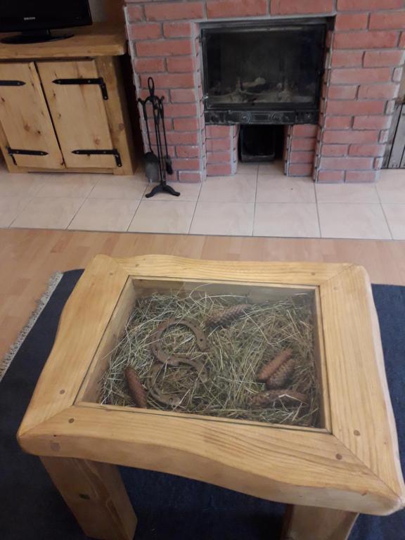 Konie2 Pokoje Gościnne - 19