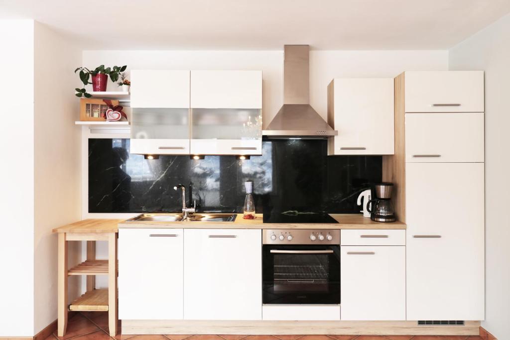 Una cocina o zona de cocina en Fricks Appartement