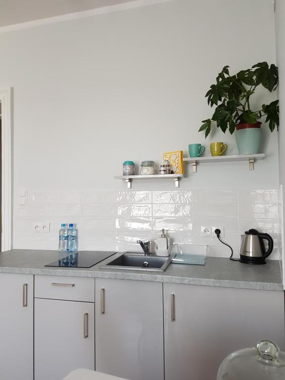 Proseco Apartments -Self check-in- - 19