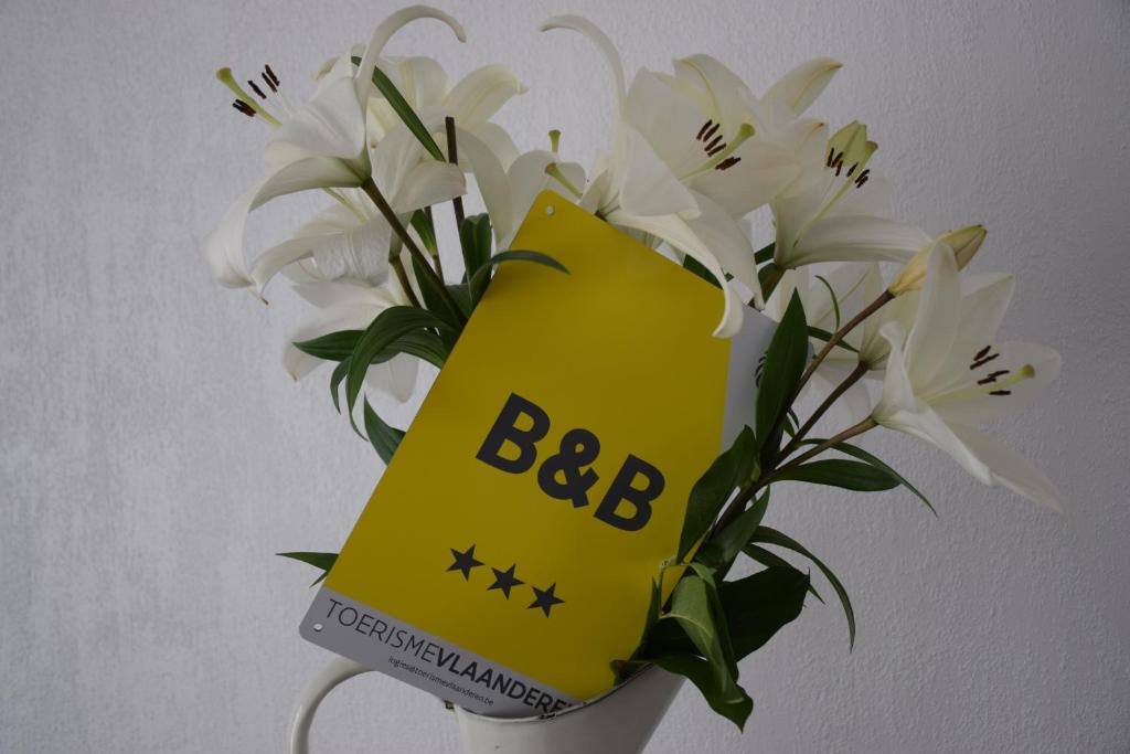 Fotografie z fotogalerie ubytování B&B My Suite Home v Bruggách