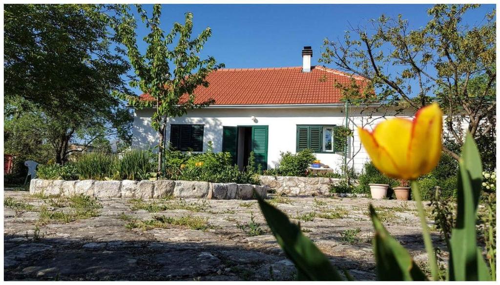 una casa con un fiore giallo davanti di Holiday home "Kike & Mara" a Drniš (Dernis)