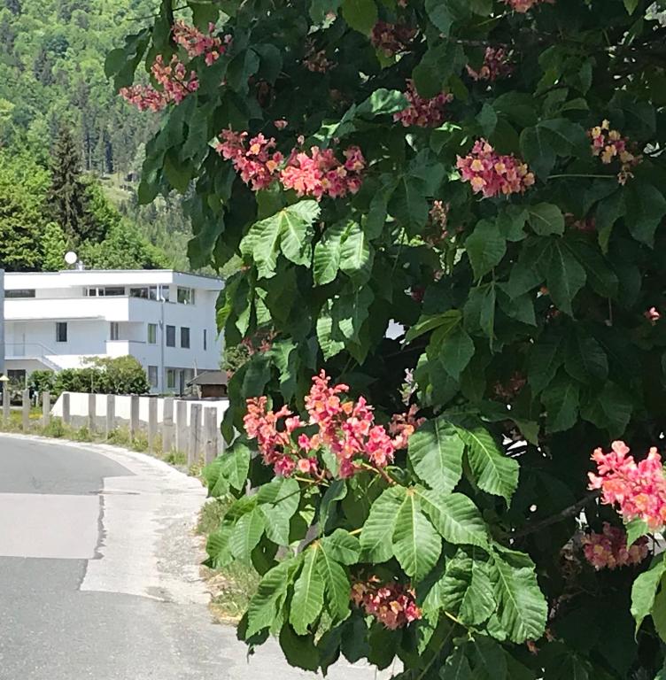 Zahrada ubytování quartier39