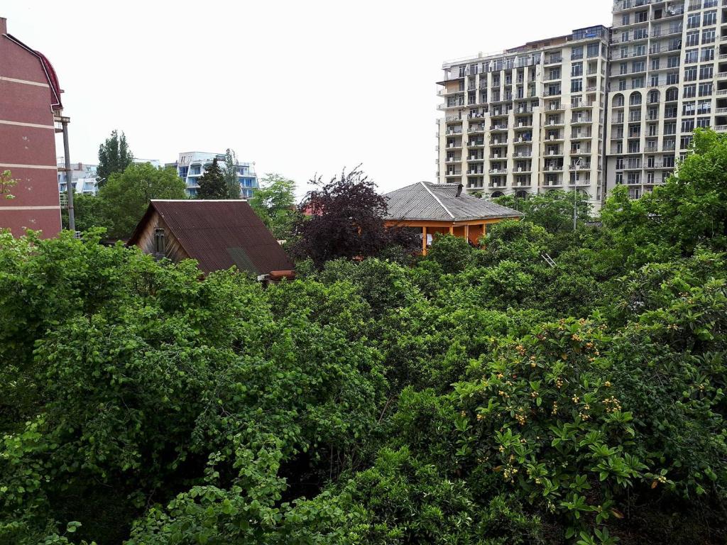 Zahrada ubytování Guest house LIA