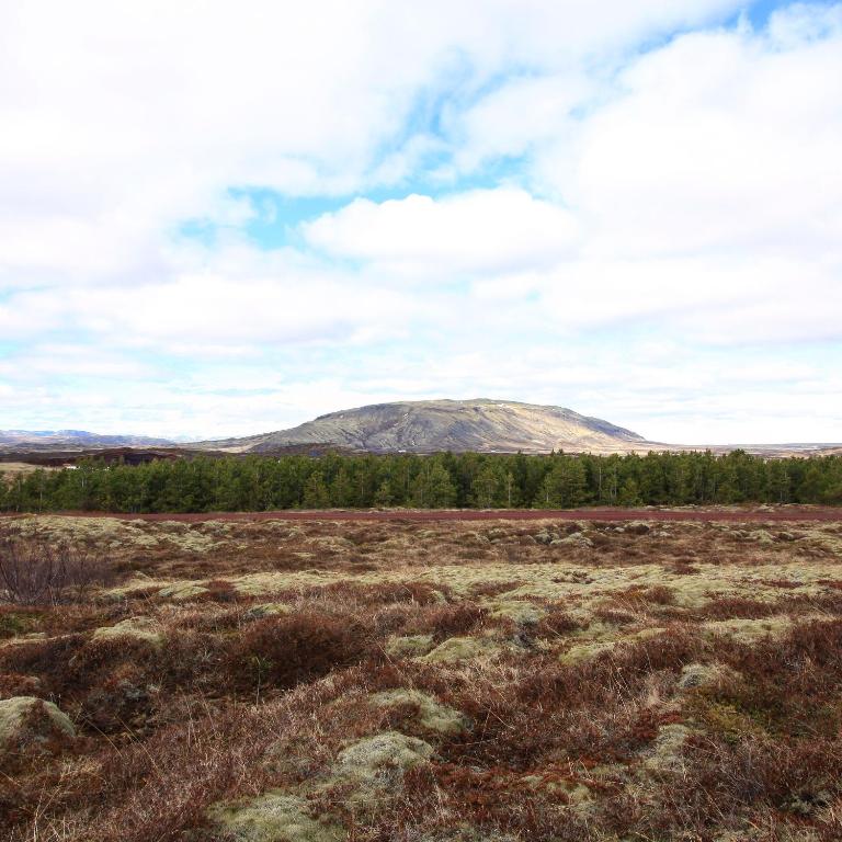 Náttúran í nágrenni sumarhússins