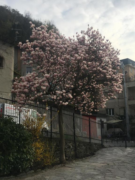 Fotografie z fotogalerie ubytování Ül Laghèe Blevio Apartments v destinaci Blevio