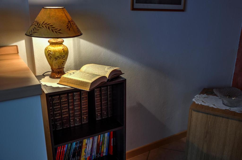 The library in Az apartmant